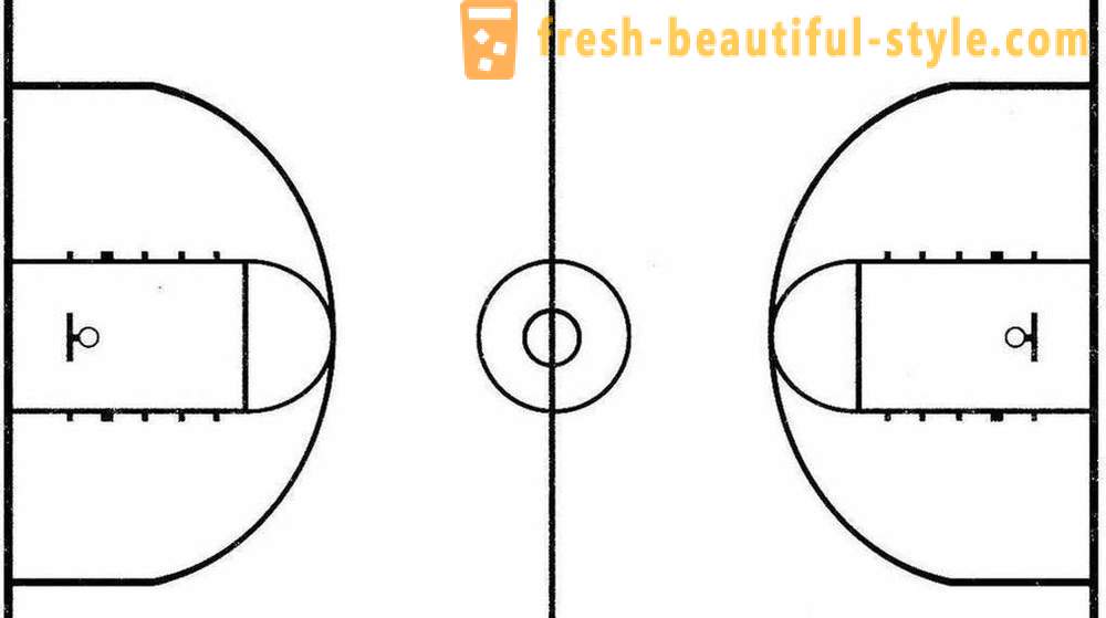 Košíkovou: fotky, rozměry a vlastnosti