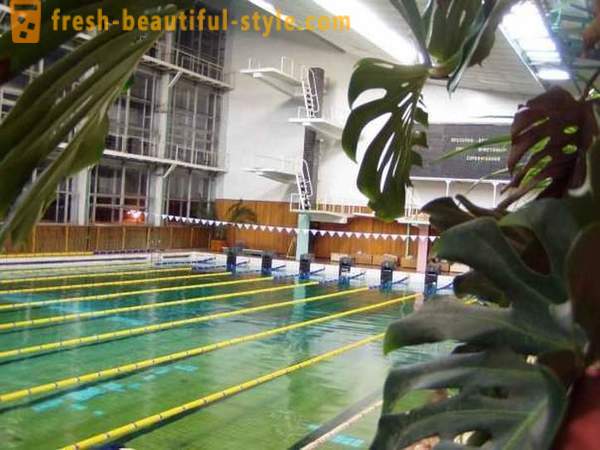 Pool „Vodník“ v Arkhangelsk: jak začít plavat?