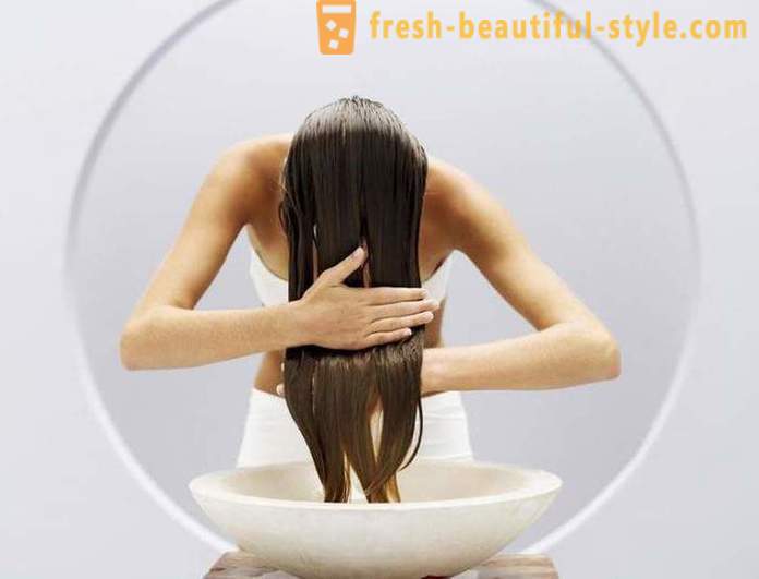 Účinný šampon pro mastné vlasy: recenze, typů a výrobců
