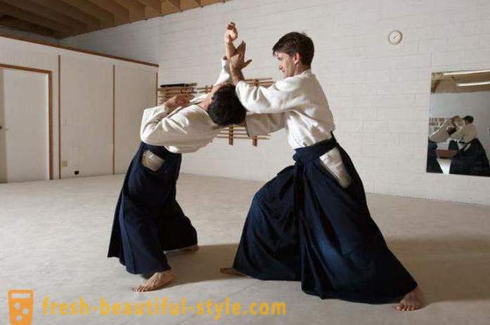 Japonské typy bojových umění: popis, vlastnosti a zajímavosti