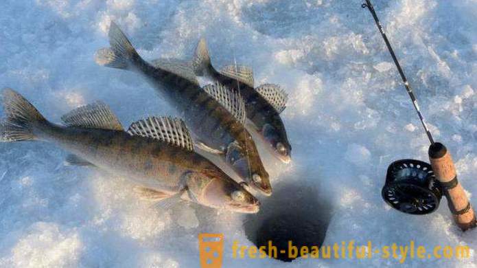Kulturní a rybolov „Rybaření na Kalinovka“ v Jekatěrinburgu: jak se dostat do hodnocení