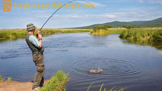 Volný rybolov na předměstí - kam se obrátit? Volné rybníky v Moskvě