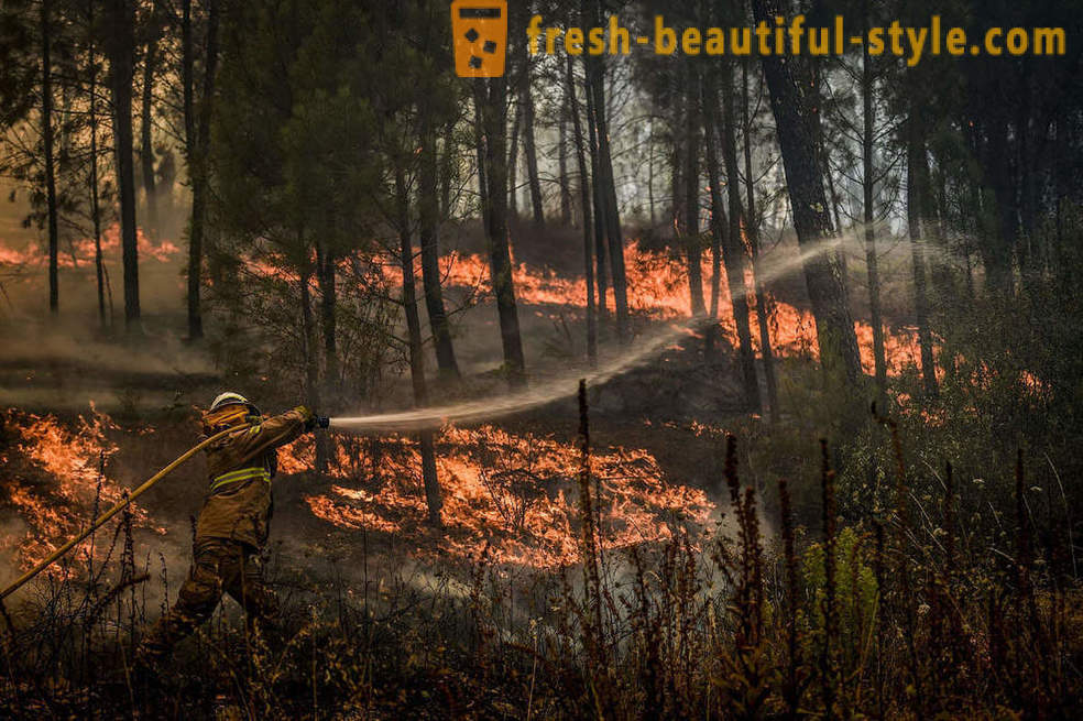 Jak k hašení požárů v Portugalsku