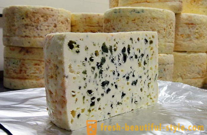 Výrobní proces francouzském Roquefort sýr ze starých receptur