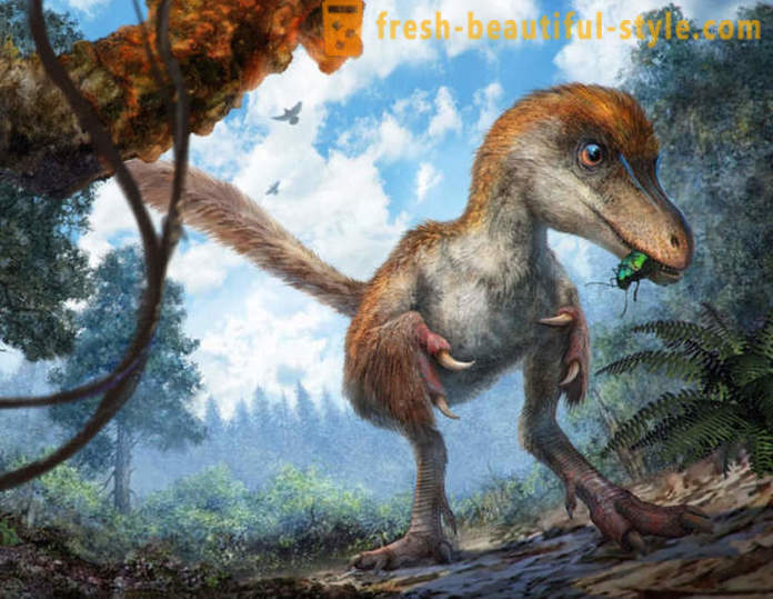 Unikátní nálezy spojené s dinosaury