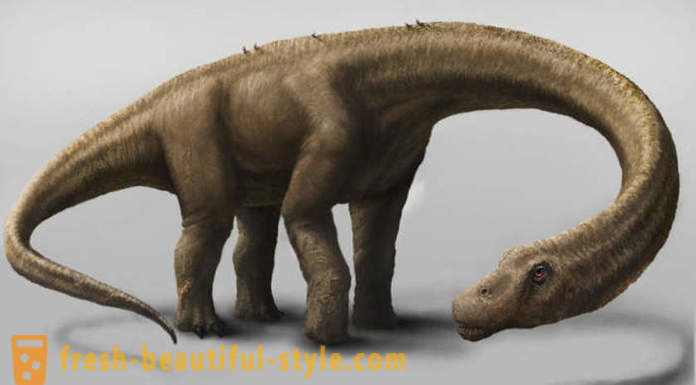 Unikátní nálezy spojené s dinosaury