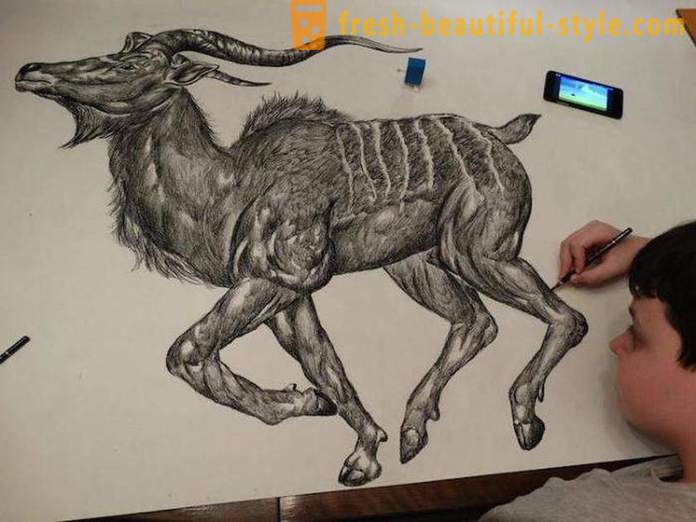 Srbský teenager kreslí úžasné portréty zvířat pomocí tužky nebo kuličkového pera