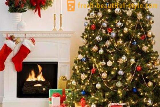 Kde můžete použít sušené vánoční strom