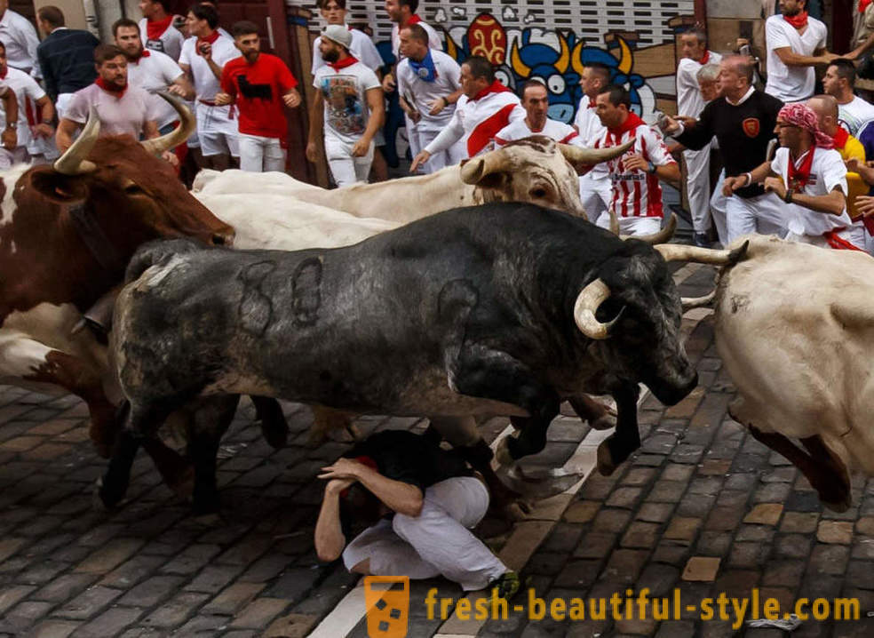 Jaká byla roční běh býků v Pamploně ve Španělsku
