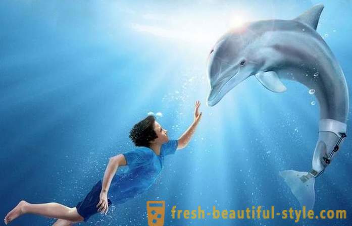 Výběr z filmů o delfínů