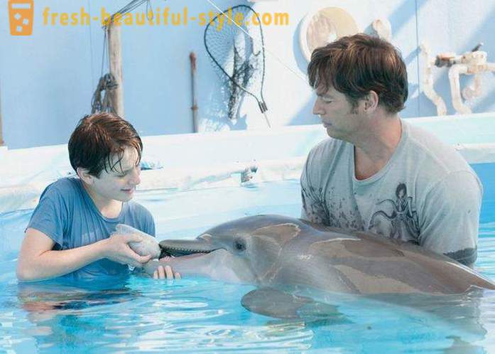 Výběr z filmů o delfínů