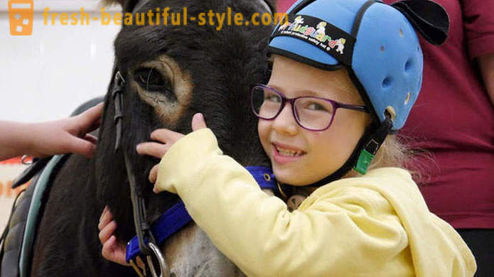 Terapie se zvířaty: němý dívka začala mluvit skrze osla