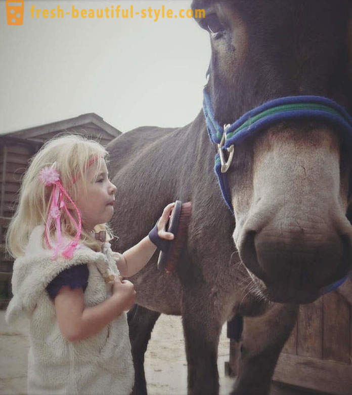 Terapie se zvířaty: němý dívka začala mluvit skrze osla