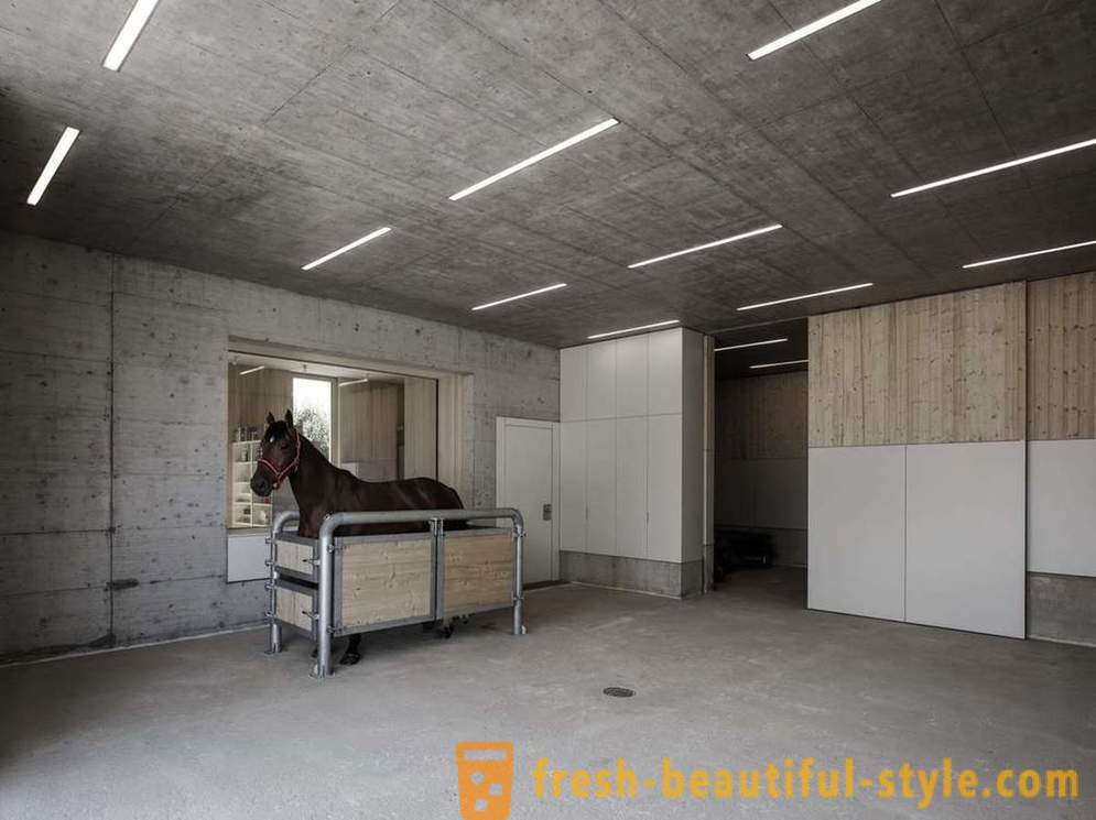 Design veterinární kliniky pro koně v Rakousku