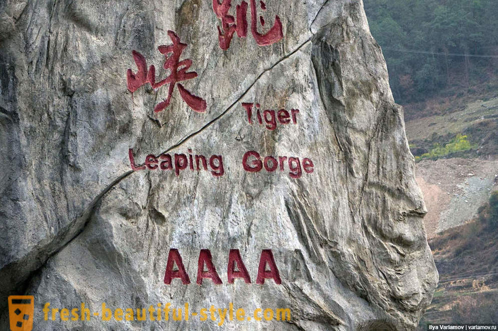 Tiger Skákající Gorge