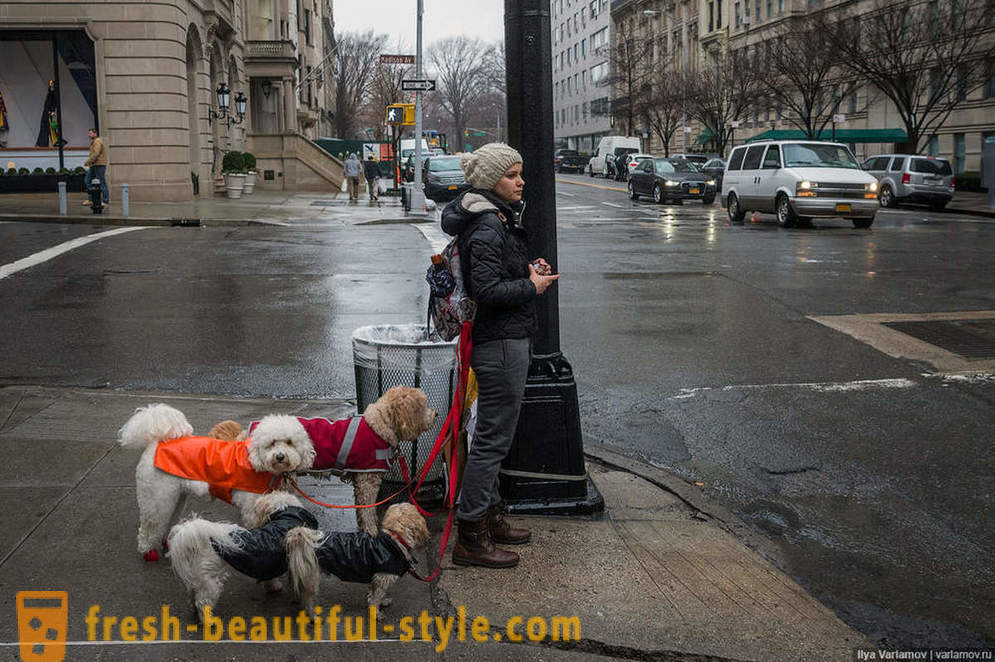 New York: Zvláštní móda, špatné silnice a hotel budoucnosti