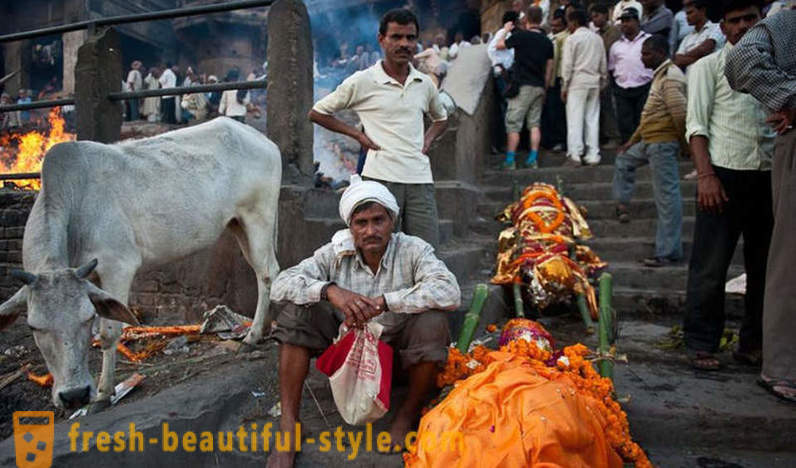The Untouchables: The Story of nejnižší kasty v Indii