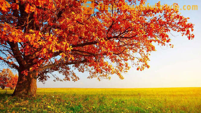 10 útulných fakta o podzimu