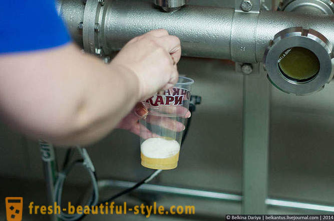 Jak se dělá pivo v Altajské území