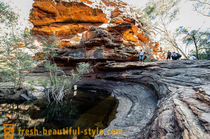 Procházka Kings Canyon v Austrálii
