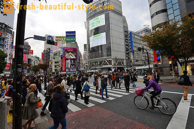 Podivný Tokyo Walk
