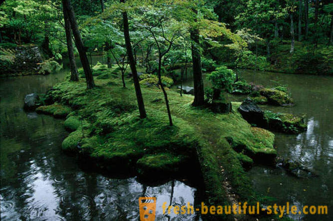Mech zahrada v Japonsku
