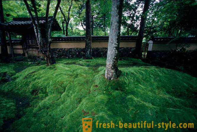 Mech zahrada v Japonsku