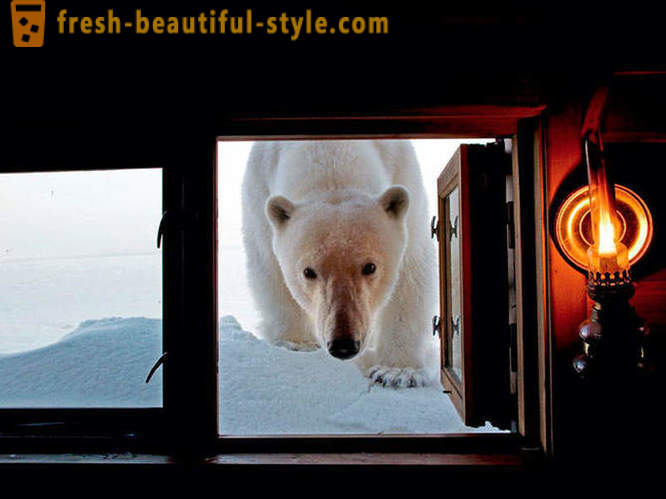 Nejlepší fotografie z roku 2012 National Geographic