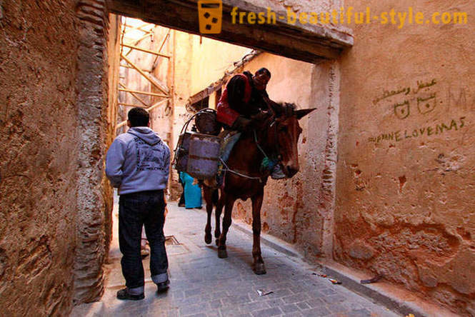 Fez - nejstarší z královských měst Maroka