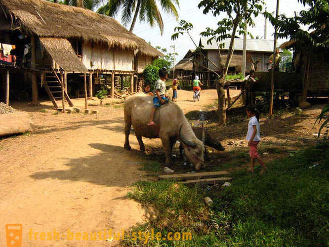 GeoFresher - Jak žít v Laosu
