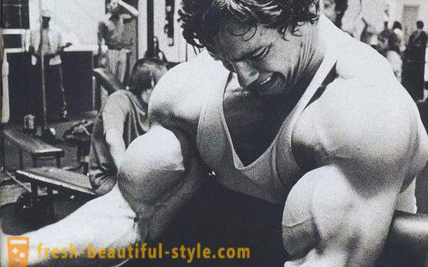 Cvičení biceps. Program školení pro biceps