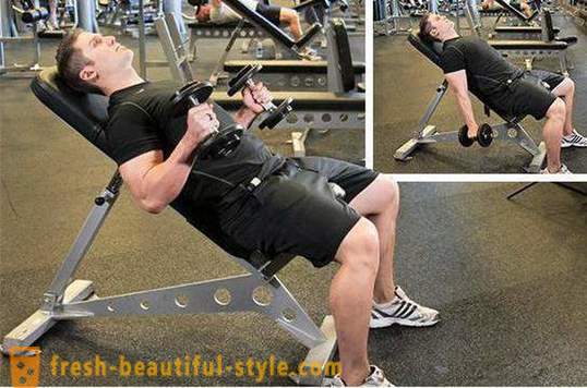 Cvičení biceps. Program školení pro biceps