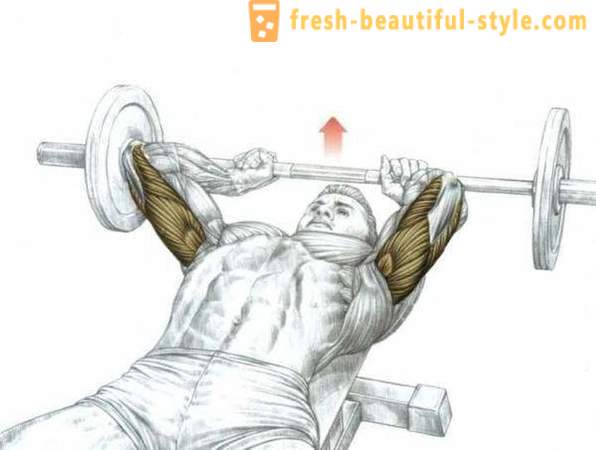 Nejlepší cvičení triceps v tělocvičně
