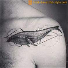 Tetování „velryba“: historie, význam a fotky