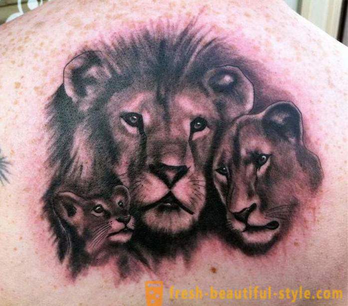 Význam tatuirovki- „Lion“ na rameno a jiných částech těla