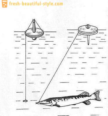 Lov štiky kruh: Znaky metody. Pike rybaření na kruzích na řece, na jezeře