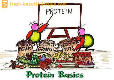 Co jsou proteiny? Kdo a jak se protein