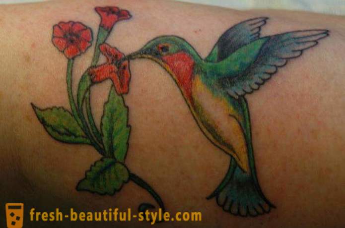 Kolibřík tetování - symbol vitality a energie