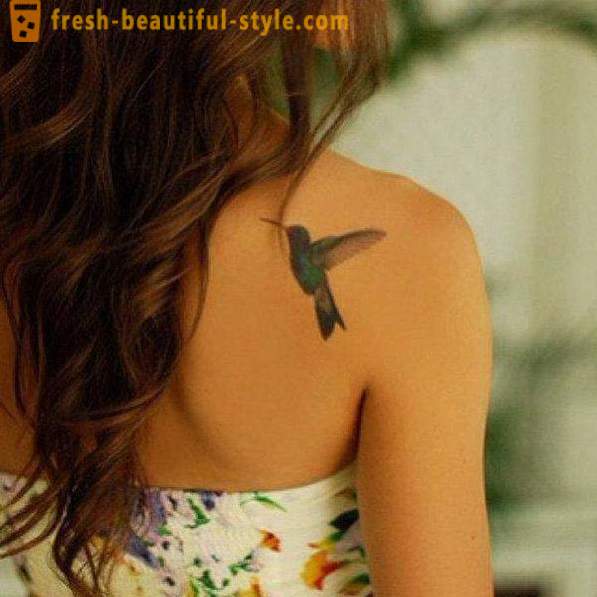 Kolibřík tetování - symbol vitality a energie
