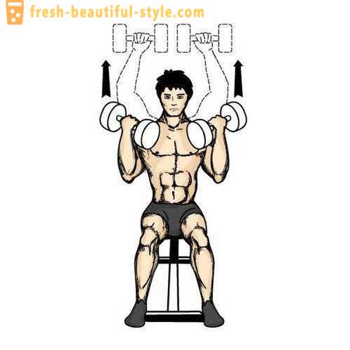 Metody svalové hmoty: stiskněte Arnold