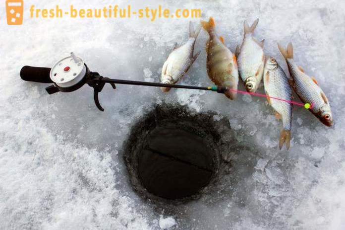 Roach rybolov v zimě. Kladkostroje k lovu plotice zimu