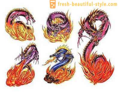 Dragon: Hodnota tetování a skic. Jak si vybrat draka tetování?