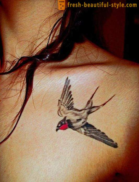 Tetování „vlaštovka na krku“ - tajemství ideálního obrazu