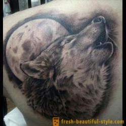 Význam tetování „Vlk“: popis, nuance příklady