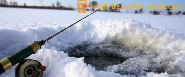 Rybolov na houpacím křesle v zimě. Technika rybolovu na kladině