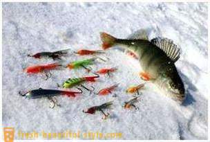 Rybolov na houpacím křesle v zimě. Technika rybolovu na kladině