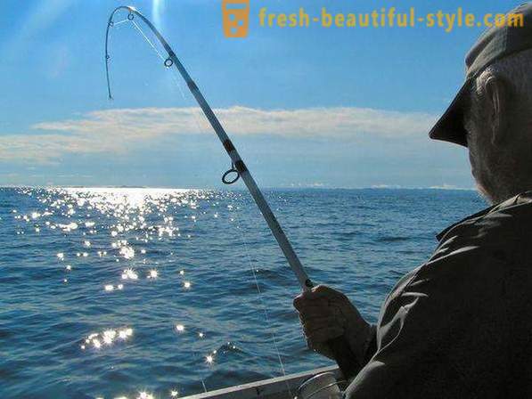Mám rád chytá ryby? Rybaření na jezeře, řeky a moře. Jak na ryby s předení?