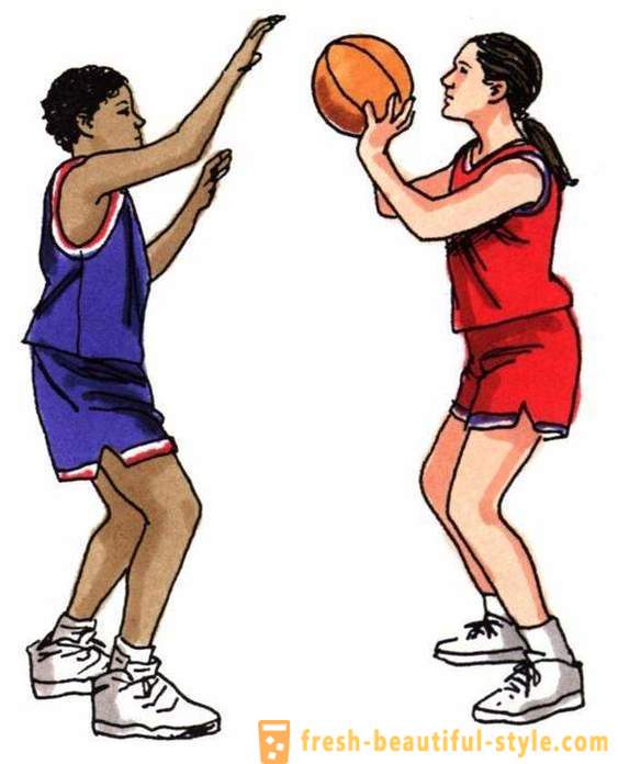 Základní pravidla basketbalu